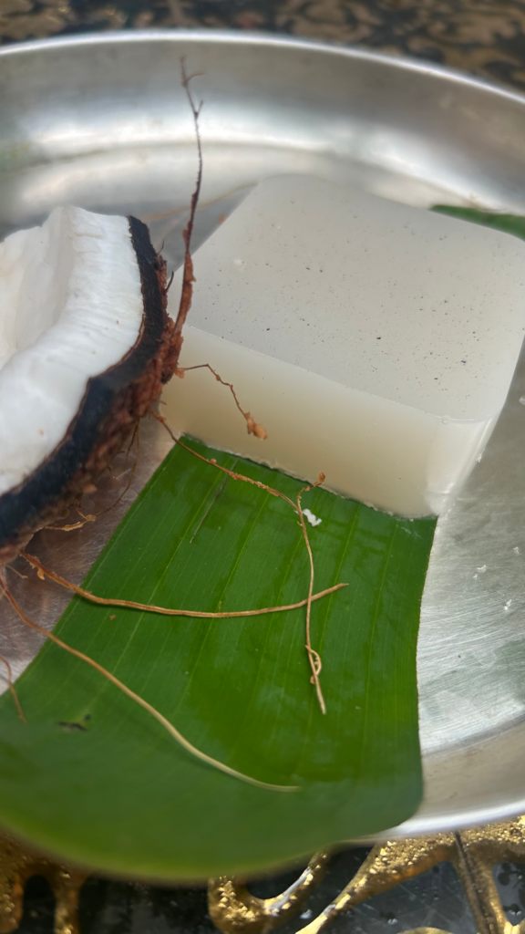 coconut shea