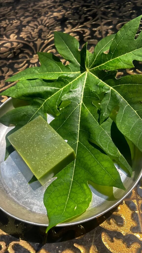 papaya dead sea clay soap